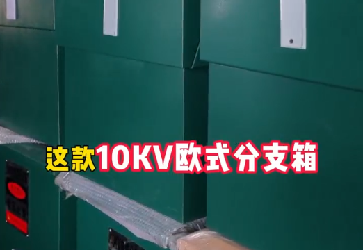 民赛电气10kv欧式电缆分支箱