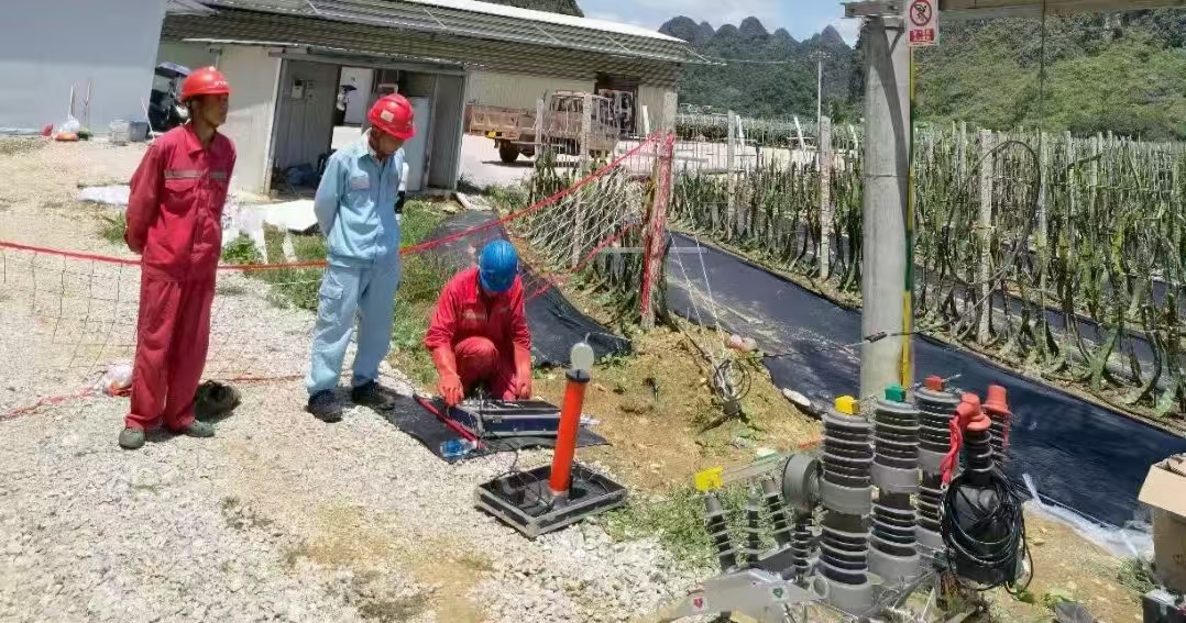 应用案例