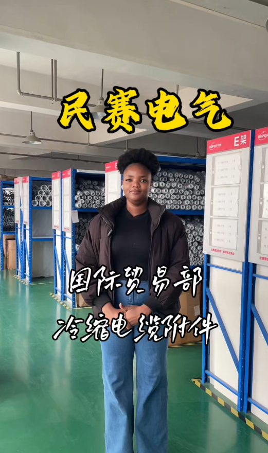 民赛冷缩电缆附件